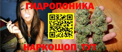стаф Краснознаменск